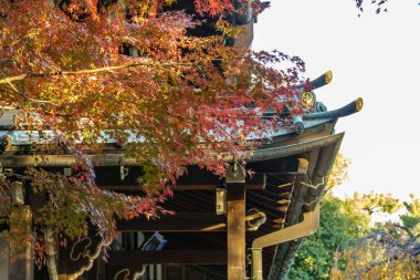 Tokyo şehrinde sonbahar zamanı