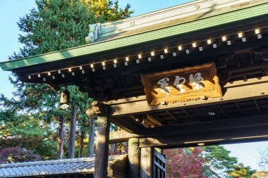 Tokyo şehrinde sonbahar zamanı