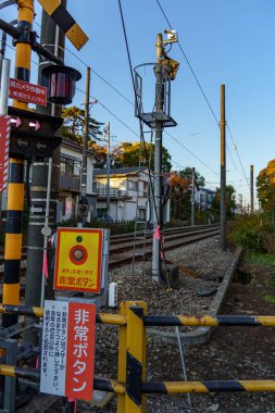 Tokyo şehrinde sonbahar zamanı