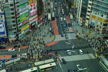 Tokyo şehrinde sonbahar zamanı