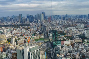 Tokyo şehrinde sonbahar zamanı