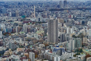 Tokyo şehrinde sonbahar zamanı