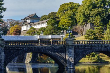 Tokyo yakınlarındaki Japonya 'da sonbahar zamanı.