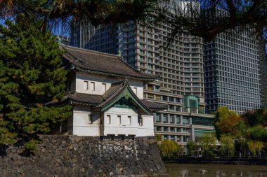 Tokyo yakınlarındaki Japonya 'da sonbahar zamanı.