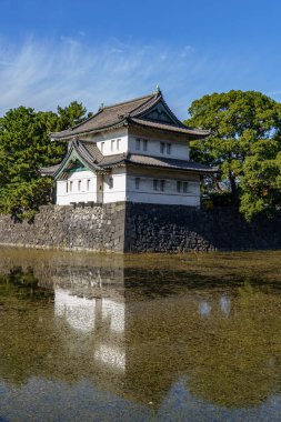 Tokyo yakınlarındaki Japonya 'da sonbahar zamanı.