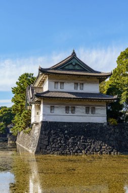 Tokyo yakınlarındaki Japonya 'da sonbahar zamanı.