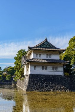 Tokyo yakınlarındaki Japonya 'da sonbahar zamanı.