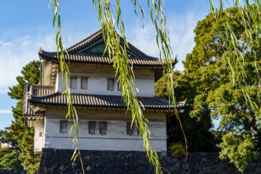 Tokyo yakınlarındaki Japonya 'da sonbahar zamanı.