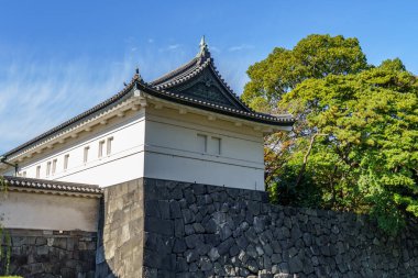 Tokyo yakınlarındaki Japonya 'da sonbahar zamanı.