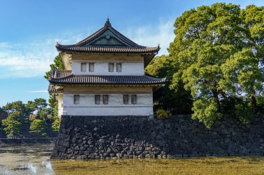 Tokyo yakınlarındaki Japonya 'da sonbahar zamanı.