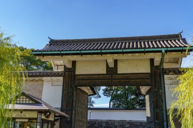 Tokyo yakınlarındaki Japonya 'da sonbahar zamanı.