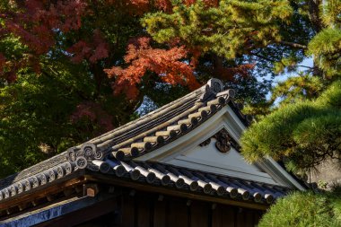 Tokyo yakınlarındaki Japonya 'da sonbahar zamanı.