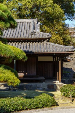 Tokyo yakınlarındaki Japonya 'da sonbahar zamanı.