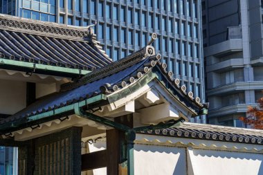 Tokyo yakınlarındaki Japonya 'da sonbahar zamanı.