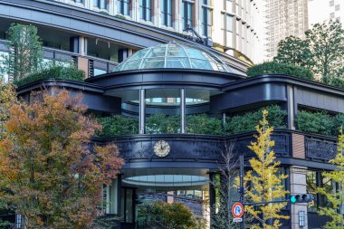 Tokyo yakınlarındaki Japonya 'da sonbahar zamanı.