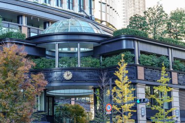 Tokyo yakınlarındaki Japonya 'da sonbahar zamanı.