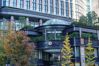 Tokyo yakınlarındaki Japonya 'da sonbahar zamanı.