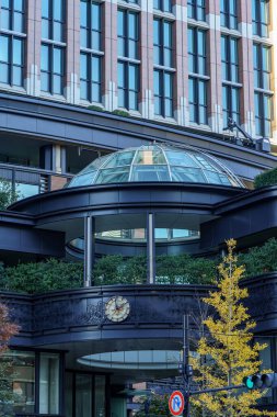 Tokyo yakınlarındaki Japonya 'da sonbahar zamanı.