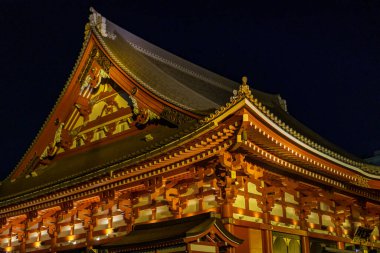 Fuji Dağı ve Japonya 'daki Tokyo şehri.