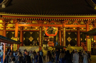 Fuji Dağı ve Japonya 'daki Tokyo şehri.