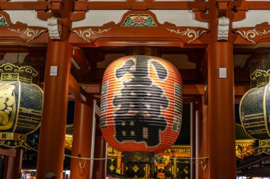 Fuji Dağı ve Japonya 'daki Tokyo şehri.