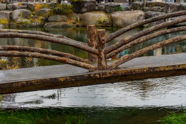 Tokyo ve Fuji Dağı Japonya 'da