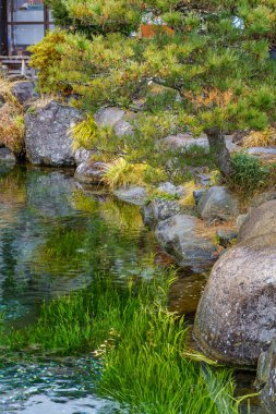 Tokyo ve Fuji Dağı Japonya 'da