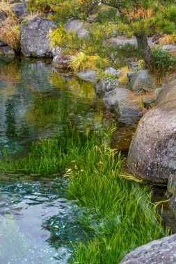 Tokyo ve Fuji Dağı Japonya 'da