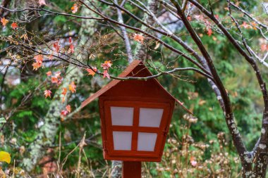 Tokyo ve Fuji Dağı Japonya 'da