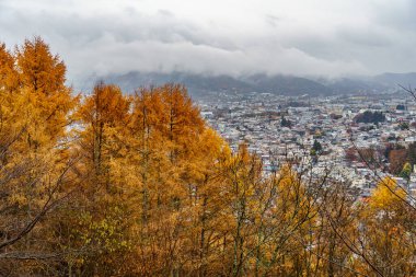 Tokyo ve Fuji Dağı Japonya 'da