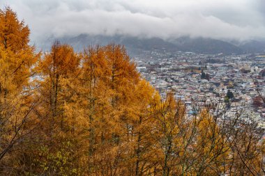 Tokyo ve Fuji Dağı Japonya 'da
