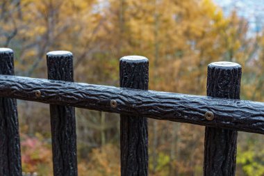 Tokyo ve Fuji Dağı Japonya 'da