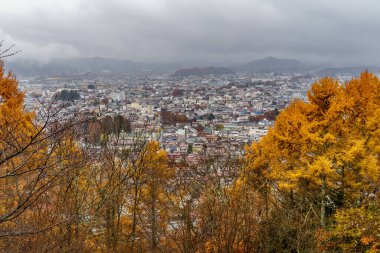 Tokyo ve Fuji Dağı Japonya 'da