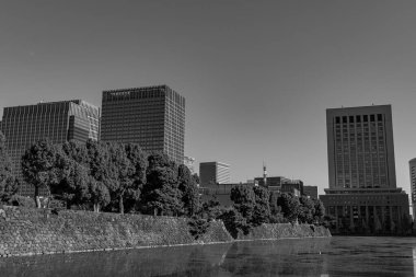 Tokyo ve Fuji Dağı Japonya 'da