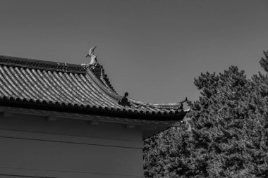 Tokyo ve Fuji Dağı Japonya 'da