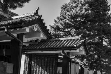 Tokyo ve Fuji Dağı Japonya 'da