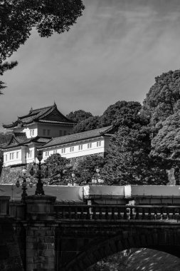 Tokyo şehri ve Fuji Dağı.