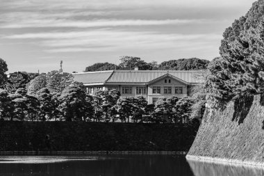 Tokyo şehri ve Fuji Dağı.