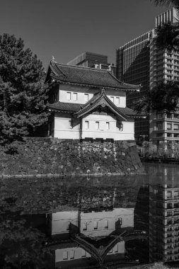 Tokyo şehri ve Fuji Dağı.