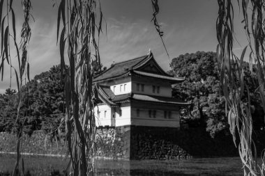 Tokyo şehri ve Fuji Dağı.