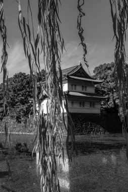 Tokyo şehri ve Fuji Dağı.