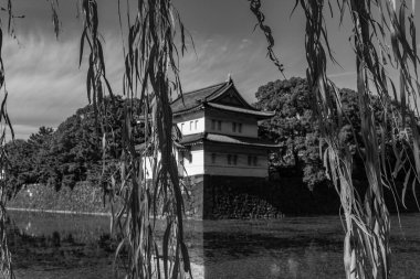 Tokyo şehri ve Fuji Dağı.