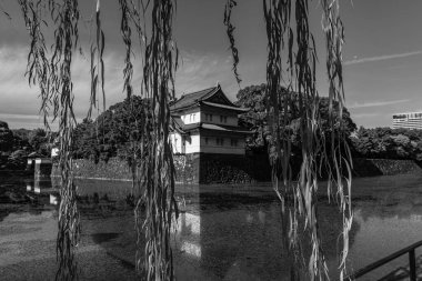 Tokyo şehri ve Fuji Dağı.