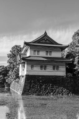 Tokyo şehri ve Fuji Dağı.