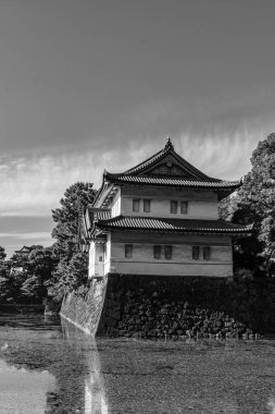 Tokyo şehri ve Fuji Dağı.