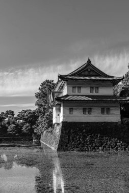 Tokyo şehri ve Fuji Dağı.
