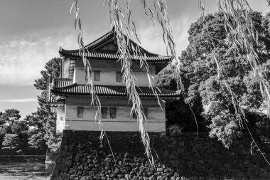 Tokyo şehri ve Fuji Dağı.