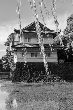 Tokyo şehri ve Fuji Dağı.