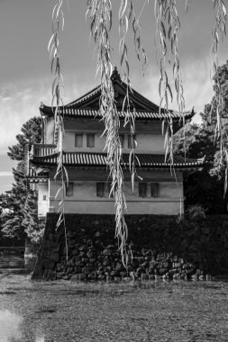 Tokyo şehri ve Fuji Dağı.