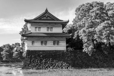 Tokyo şehri ve Fuji Dağı.
